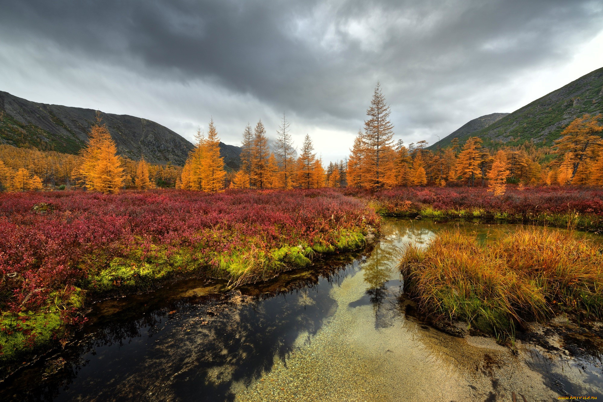 �������, ����, �����, ����, �������, �����, �����, �����, ����